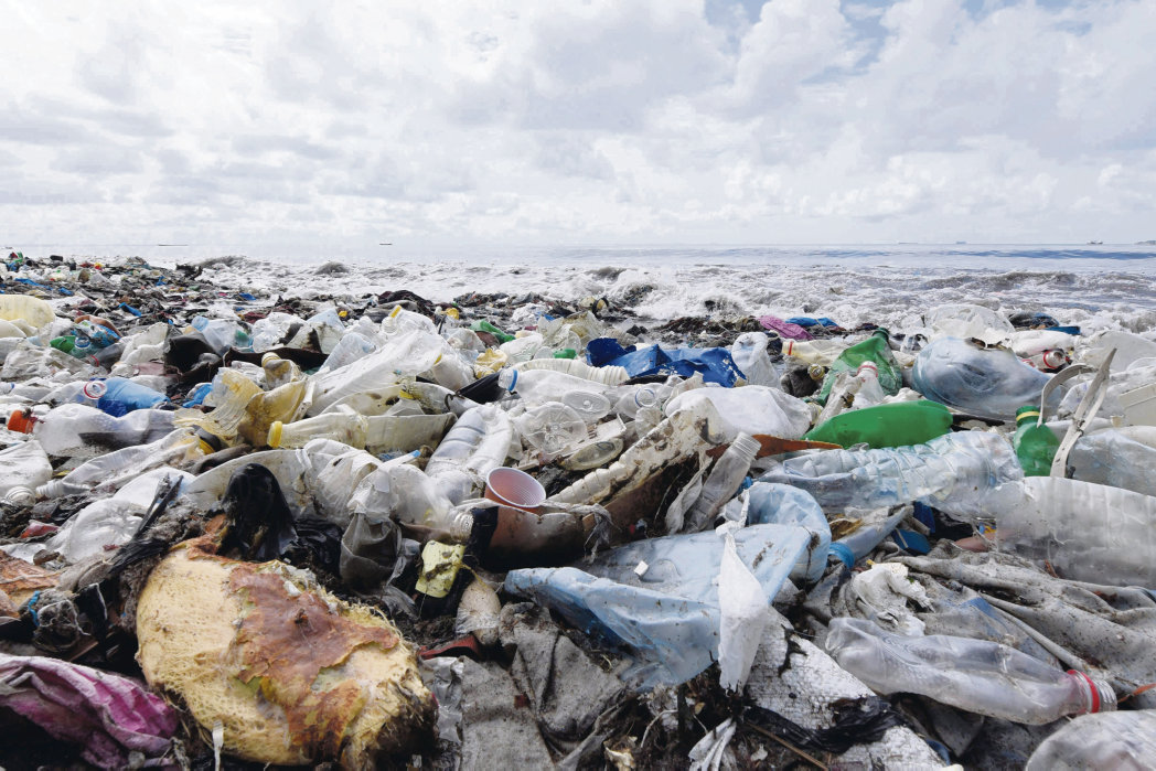 image Le gouvernement perd la guerre contre les sachets en plastique
